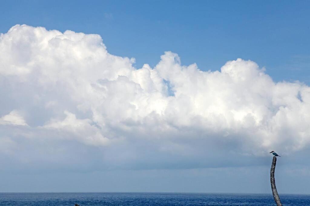 Villa Lumba Lumba - Oceanfront & Spectacular View! Lembongan Esterno foto